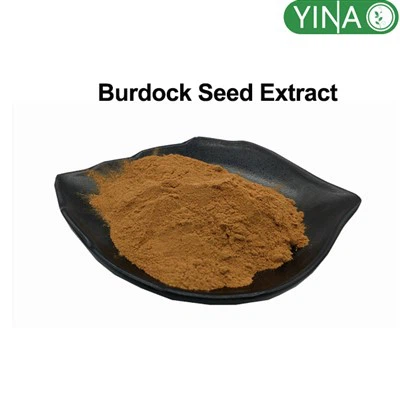Burdock Seed Extract